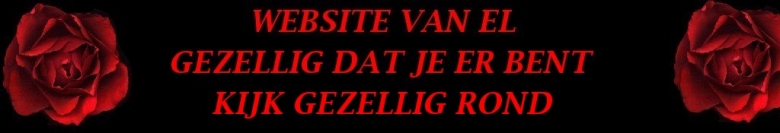 WEBSITE VAN EL